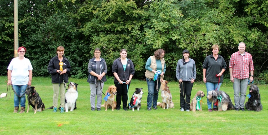 Obedience Vereinsmeisterschaft 2017