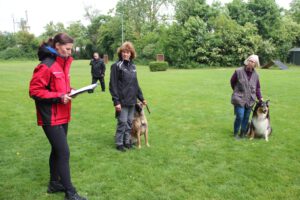 k-IMG_8812