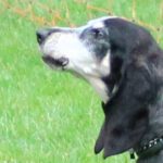 IMG_9428 n